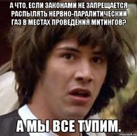 А что, если законами не запрещается распылять нервно-паралитический газ в местах проведения митингов? А мы все тупим.