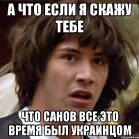 А что если я скажу тебе Что санов все это время был украинцом