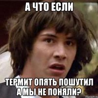 А ЧТО ЕСЛИ ТЕРМИТ ОПЯТЬ ПОШУТИЛ А МЫ НЕ ПОНЯЛИ?