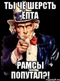 ты чё шерсть ёпта рамсы попутал?!