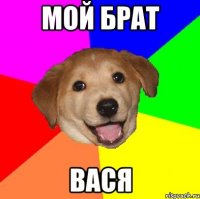 мой брат вася