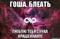 Гоша, блеать Люблю тебя сучка крашенная!!!