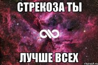 стрекоза ты лучше всех