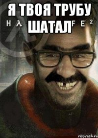 я твоя трубу шатал 