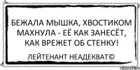 Бежала мышка, хвостиком махнула - её как занесёт, как врежет об стенку! Лейтенант Неадекват©