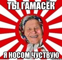 ТЫ ГАМАСЁК Я НОСОМ ЧУСТВУЮ