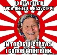 По небу летіли гуси-лебеді, а назустріч їм горобці-страуси і солов'ї-пінгвіни.