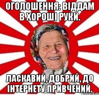 Оголошення: Віддам в хороші руки. Ласкавий, добрий, до інтернету привчений.