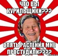 что вы курильщики??? опять растения мне простудили????