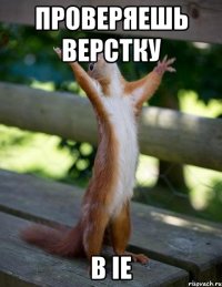 Проверяешь верстку в IE