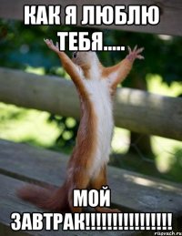 как я люблю тебЯ..... мой завтрак!!!!!!!!!!!!!!!!