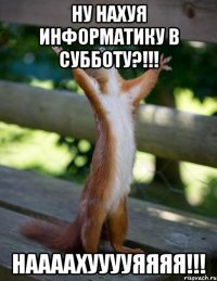 Ну нахуя информатику в субботу?!!! НААААХУУУУЯЯЯЯ!!!