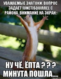 Уважаемые знатоки, вопрос задаёт [Unet]squirrel с района. Внимание на экран: Ну чё, ёпта ? ? ? минута пошла....