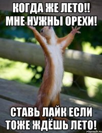 когда же лето!! мне нужны орехи! ставь лайк если тоже ждёшь лето!