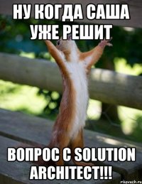 Ну когда Саша уже решит вопрос с Solution Architect!!!