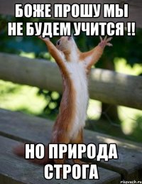 боже прошу мы не будем учится !! но природа строга