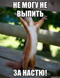 Не могу не выпить за Настю!