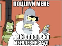 Поцілуй мене у мій блискучий металевий зад!