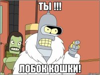 ТЫ !!! ЛОБОК КОШКИ!