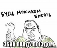  збий панду поіздом