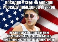 посадив у себе на балконі розсаду помідоров і гурков на слєд дєнь 5 топових нью йоркських банд зробили бізнес прєдложеніє по вирощуванню трави