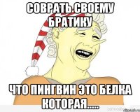 Соврать своему братику что пингвин это белка которая.....