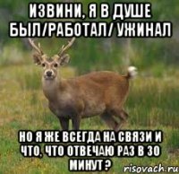 Извини, я в душе был/работал/ ужинал Но я же всегда на связи и что, что отвечаю раз в 30 минут ?