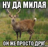 Ну да милая Он же просто друг