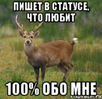 Пишет в статусе, что любит 100% обо мне