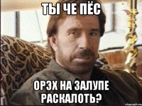ТЫ ЧЕ ПЁС ОРЭХ НА ЗАЛУПЕ РАСКАЛОТЬ?