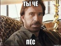 ТЫ ЧЁ ПЁС