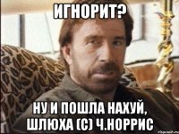 ИГНОРИТ? НУ И ПОШЛА НАХУЙ, ШЛЮХА (c) Ч.Норрис