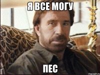 Я все могу пес
