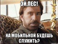 эй,пес! на мобильной будешь служить?