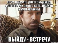 Хочу показать дорогому Киеву фотографии своего кота . Нац Худ Музей Украины ВЫйду - встречу