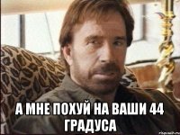  А МНЕ ПОХУЙ НА ВАШИ 44 ГРАДУСА