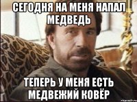 сегодня на меня напал медведь теперь у меня есть медвежий ковёр