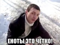  Еноты,это чётко!