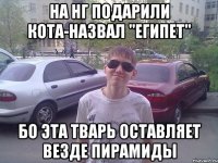 На НГ подарили кота-назвал "Египет" Бо эта тварь оставляет везде пирамиды