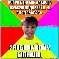 вчора мені мій собачку чіхуахуа подаририв. Не сподобалась. зробила йому біляшів.