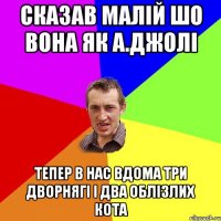 Сказав малій шо вона як А.Джолі Тепер в нас вдома три дворнягі і два облізлих кота