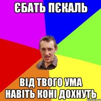 єбать пєкаль від твого ума навіть коні дохнуть