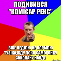 подивився "комісар рекс" вже неділю не кормлю Тузіка,жду поки самогонку закопану найде