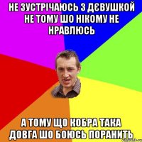 не зустрічаюсь з дєвушкой не тому шо нікому не нравлюсь а тому що кобра така довга шо боюсь поранить