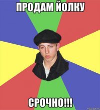 продам йолку срочно!!!