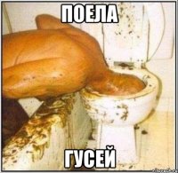 поела гусей