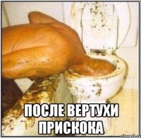  После Вертухи Прискока