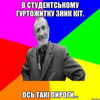 В студентському гуртожитку зник кіт. Ось такі пироги...