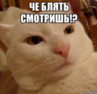 ЧЕ блять смотришь!? 