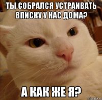 Ты собрался устраивать вписку у нас дома? А как же я?